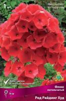 Флокс метельчатый Ред Райдинг Худ (I) 1 шт