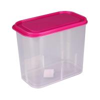 Контейнер универсальный  2л Лайт