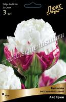 Тюльпан Махровый поздний Айс Крим (11/12) 5 шт