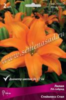 Лилия ЛА-Гибрид Стейнлесс Стил (14/16) 2шт