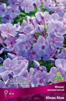 Флокс метельчатый Юник Мов (I) 1 шт