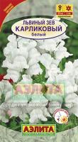Львиный зев карликовый белый 10шт
