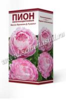 Пион молочноцветковый Миссис Франклин Д.Рузвельт