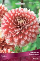 Георгина бахромчатая Ноэль (I) 1 шт