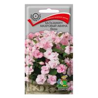 Бальзамин махровый Афина Юнона 5шт