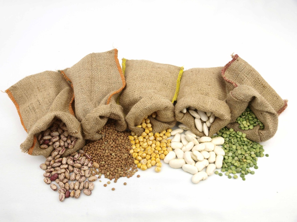 гибридные семена гибридные семена