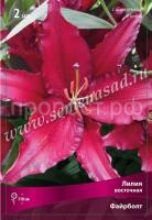 Лилия Восточная Файрболт (14-16) 2 шт 675474 Лилия Восточная Файрболт (14-16) 2 шт 675474