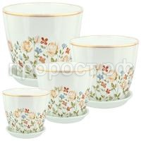 прованс прованс