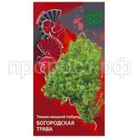 Без названия (4)