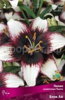 Лилия азиатская Танго Блэк Ай