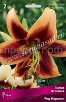 НоменклатураПрисоединенныеФайлы НоменклатураПрисоединенныеФайлы