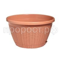 NF-00013663 NF-00013663