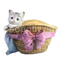 котенок с бант