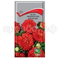 Астра-низкорослая-Красный-ковер-0,2г-Поиск