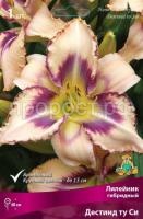 Лилейник гибридный Дестинд ту Си (1) Лилейник гибридный Дестинд ту Си (1)