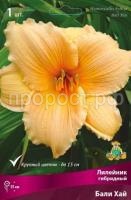 Лилейник гибридный Бали Хай