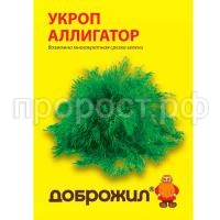 укроп аллигатор