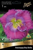 Лилейник гибридный Лавендер Блу Бэби_черный__11 Лилейник гибридный Лавендер Блу Бэби_черный__11