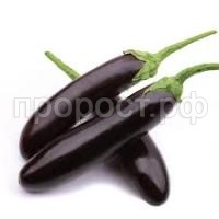 Без названия Без названия