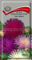 Астра Гигантские лучи Смесь окрасок