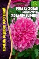 h4uffa6moaw07df06ec9zt2c351236lk