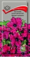 Петуния бахромчатая Афродита пурпурная Петуния бахромчатая Афродита пурпурная