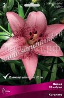 Лилия ЛА-Гибрид Коголето (14-16) 2 шт 736160 Лилия ЛА-Гибрид Коголето (14-16) 2 шт 736160