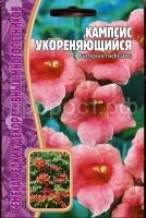 Кампсис укореняющийся 7 шт