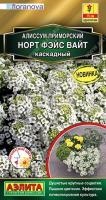 алиссум норт фэйс вайт алиссум норт фэйс вайт