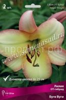 НоменклатураПрисоединенныеФайлы НоменклатураПрисоединенныеФайлы