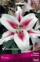 Лилия ОТ-Гибрид Гаучо (14-16) 2 шт 736201 Лилия ОТ-Гибрид Гаучо (14-16) 2 шт 736201