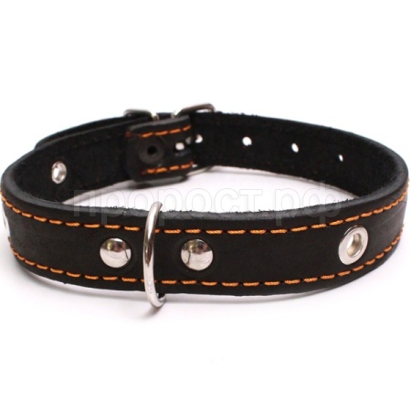 Ошейник кожа 25мм 1слойный безразмерный 53-55см/40700
