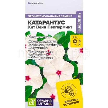 Катарантус Хит Вейв Пепперминт 5шт