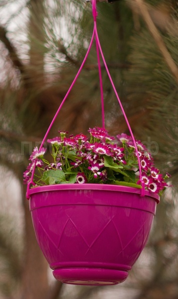 Подвесное Лилия 1,5л лиловый