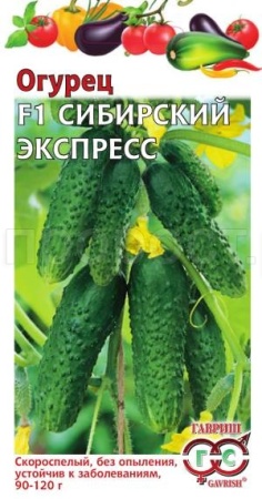 Огурец Сибирский экспресс F1 10шт